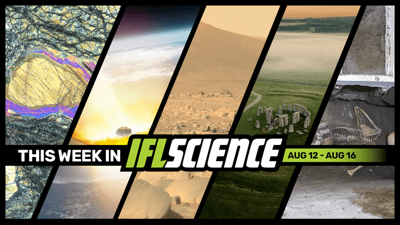 Subscribe to the IFLScience newsletter to get TWIS delivered straight to your inbox.