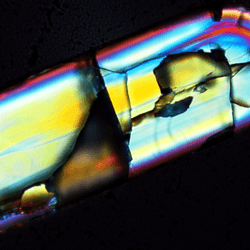 A zircon grain (0.250 mm by 0.070 mm, approximately the width of a human hair). These are the oldest minerals on Earth and provide crucial insight into the early Earth.